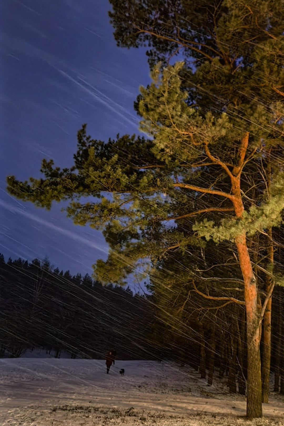 Автор: Анастасия Свинцова