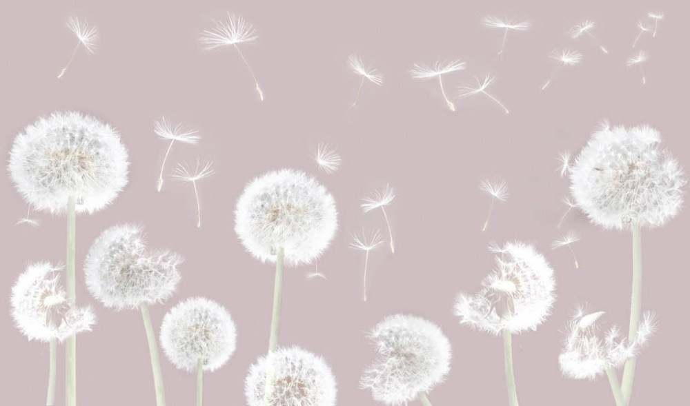 Отзывы. Dar-dar-apart.ru