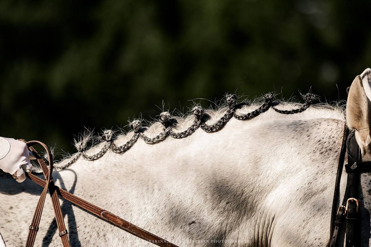 КУБОК по ВЫЕЗДКЕ КСК «РУССКИЙ АЛМАЗ». Конный фотограф Куракина Дарья • Фотосессии с лошадьми