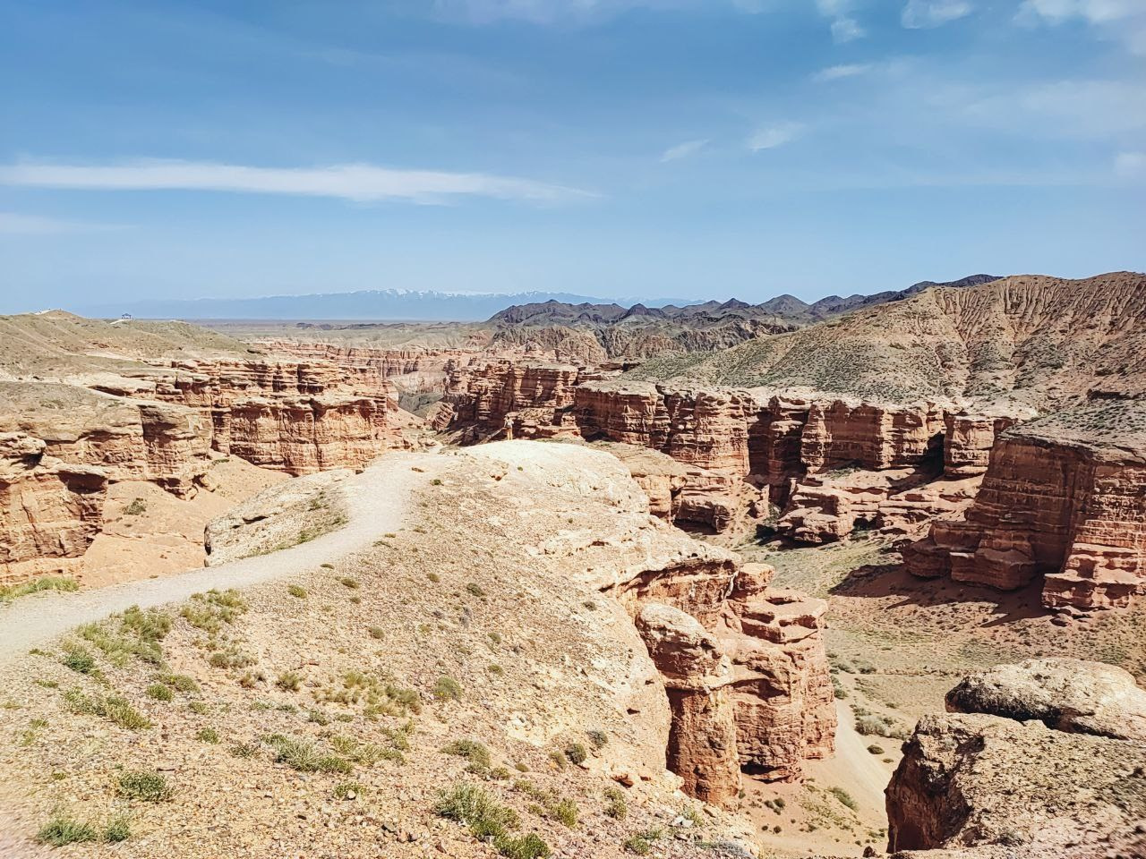 Намобилкус казахский. Репортажный фотограф Алексей Пирязев