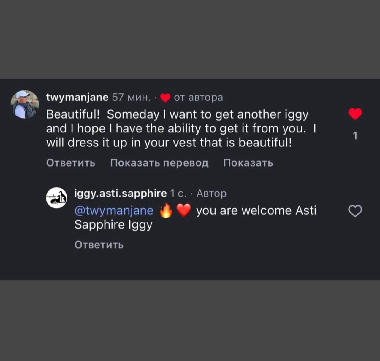 Welcome. Профессиональный питомник левреток РКФ/FCI ASTI SAPPHIRE 💎 Сочи|Санкт-Петербург