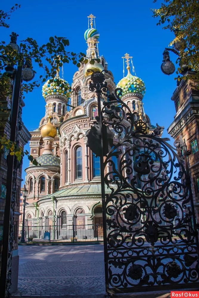 вид на спас на крови сквозь ворота