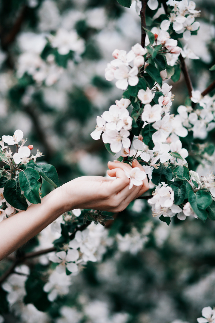 Маша. Портретный фотограф в Тамбове Валентина Забавникова