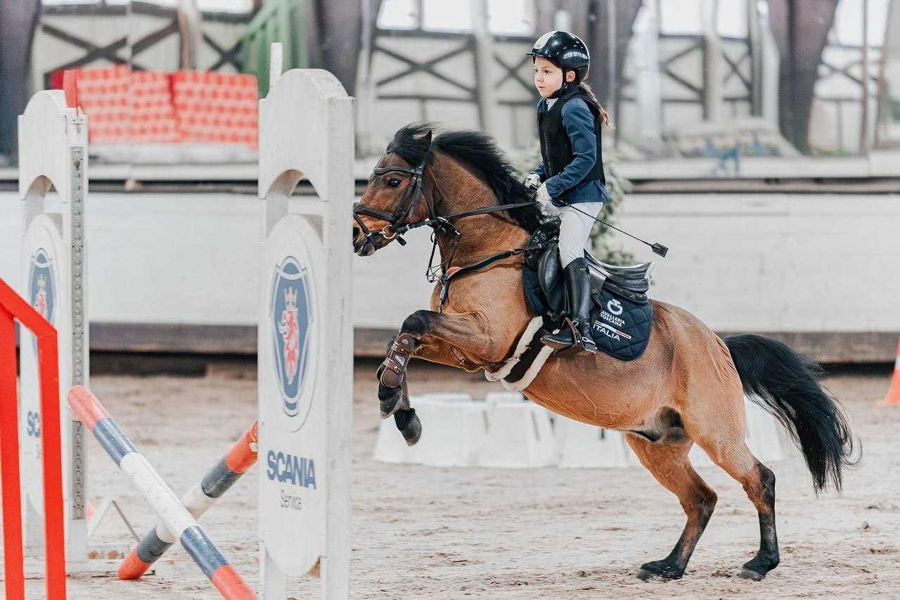 ОТКРЫТЫЕ СОРЕВНОВАНИЯ ПО КОНКУРУ В КСК «БЕЛАЯ ДАЧА». Куракина Дарья • Конный фотограф