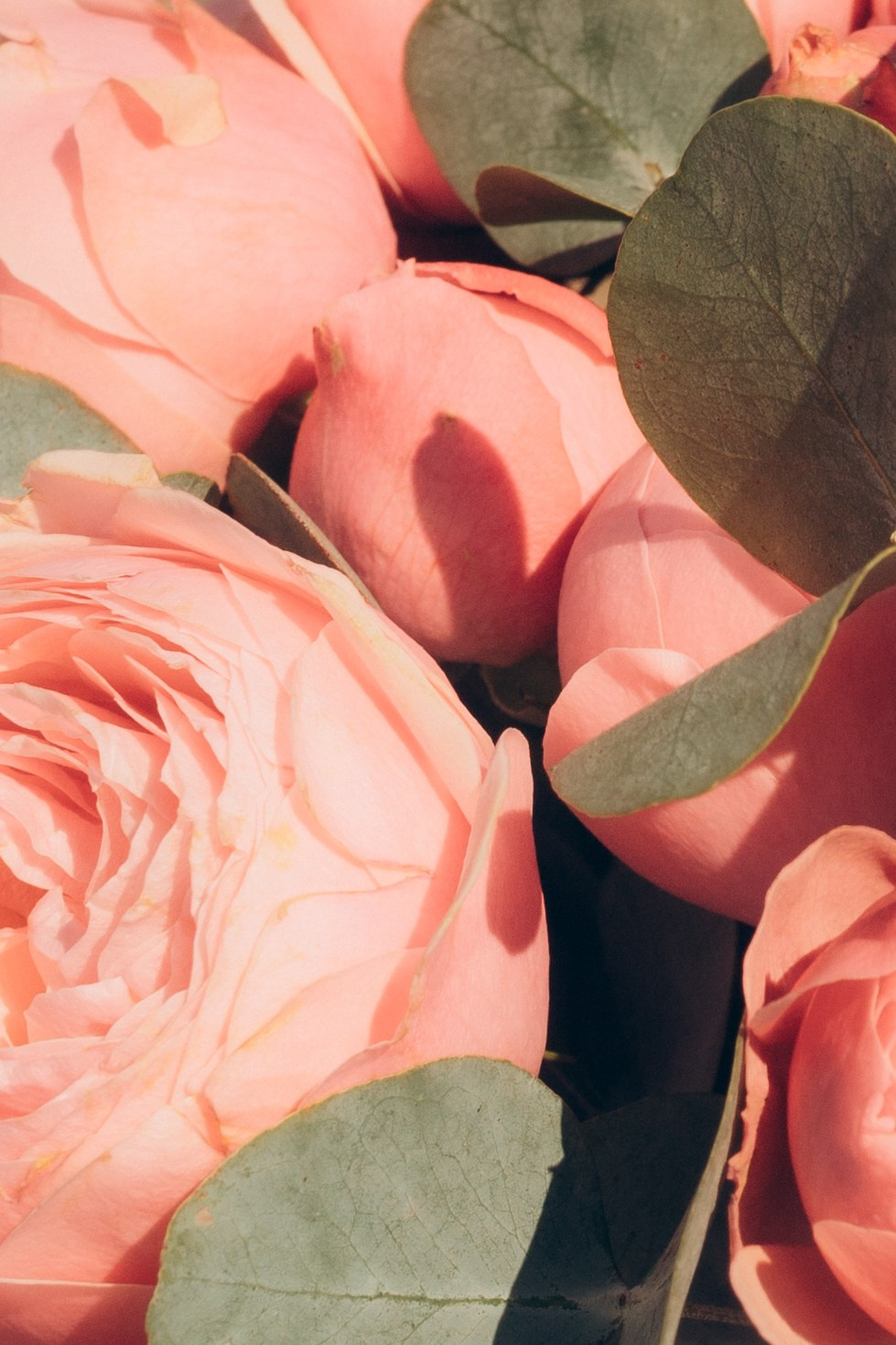 Свадьба Максима и Валерии. Свадебный фотограф Казань