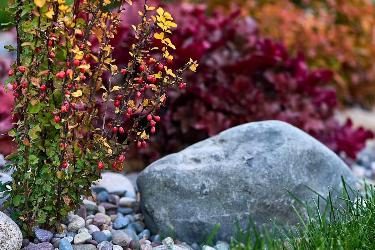 Фотосъёмка ландшафтных рабт