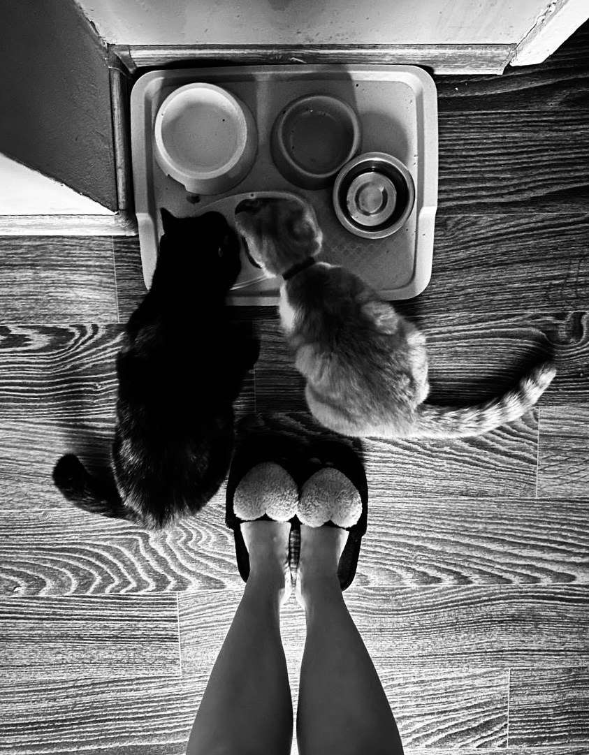 КУРС ПО ФОТО/ВИДЕО СЪЕМКЕ «СЧАСТЬЕ В ПРОСТОМ». Фотография. Визуально-чувственный мир души