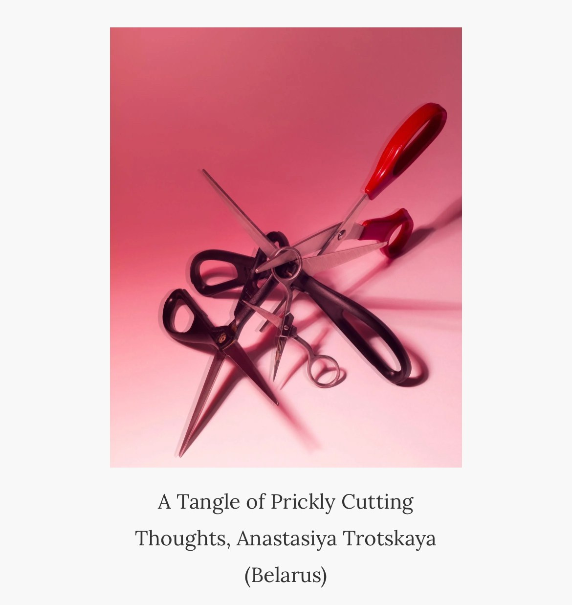 Выставочная история. Предметный фотограф в Минске Анастасия Троцкая