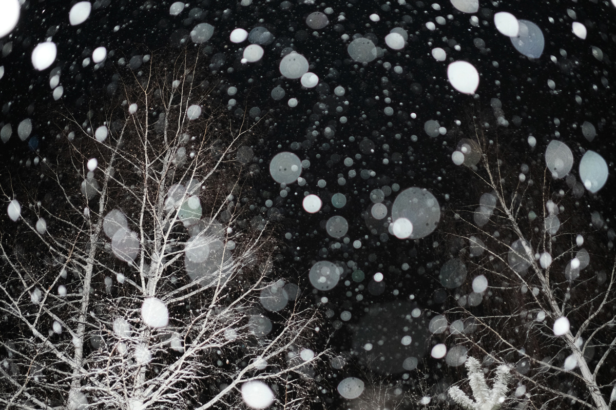 Introversion. Documentary photographer Olga Kardashova