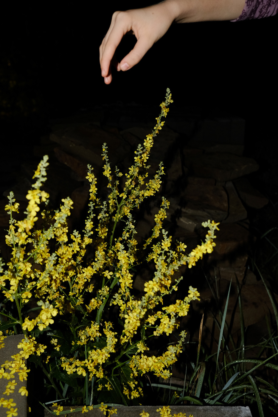 Introversion. Documentary photographer Olga Kardashova