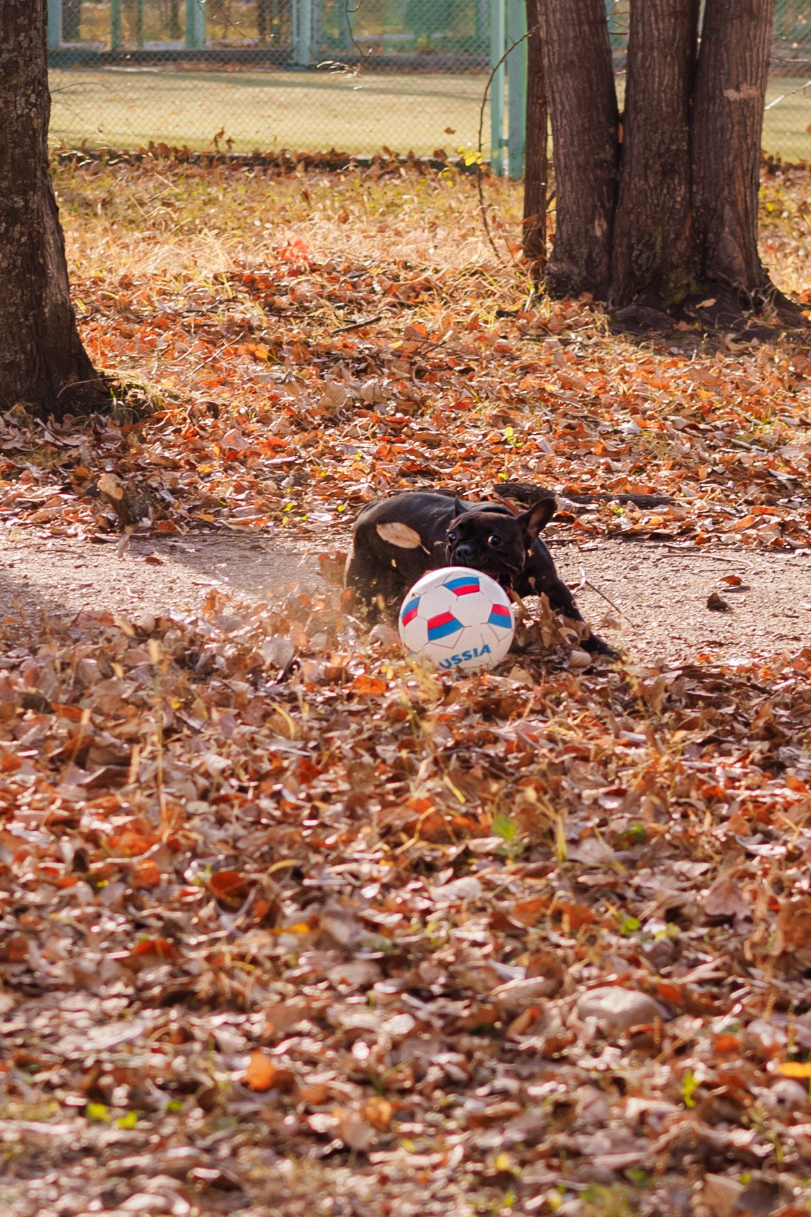 Детский семейный фотограф. Детский и семейный фотограф  Биробиджан Оля Светагор