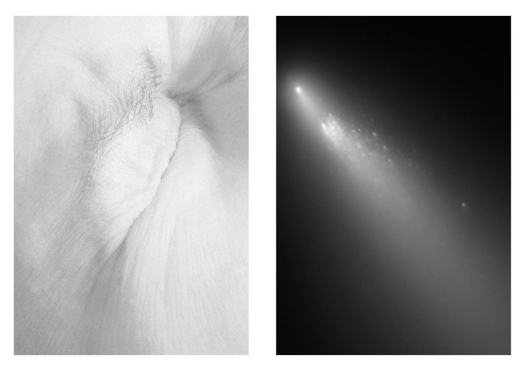 Проект «As long as the Sun lasts» Эрики Бардин (Erica Bardin). Private image