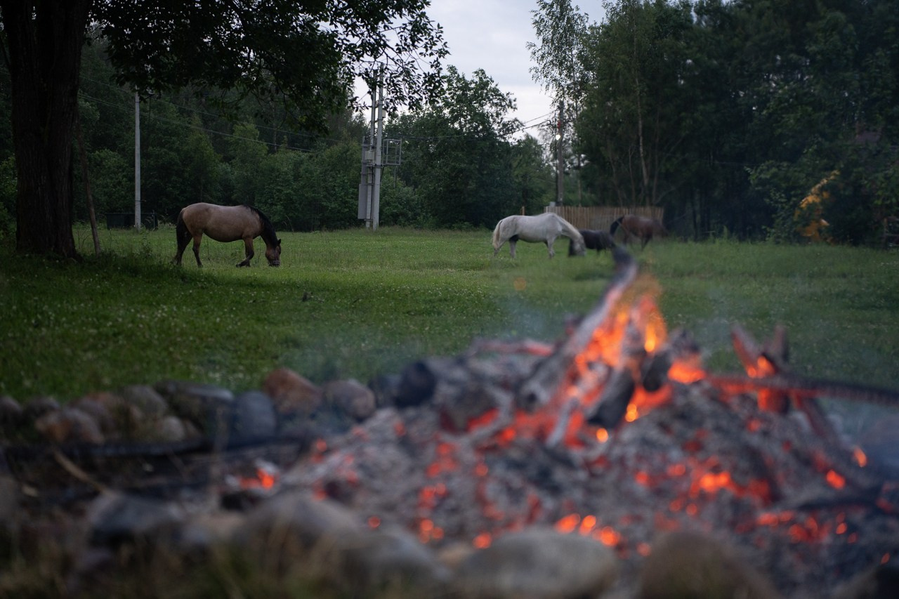 Иван Купала. Ecobelovo. Фотограф Мария Ковкова