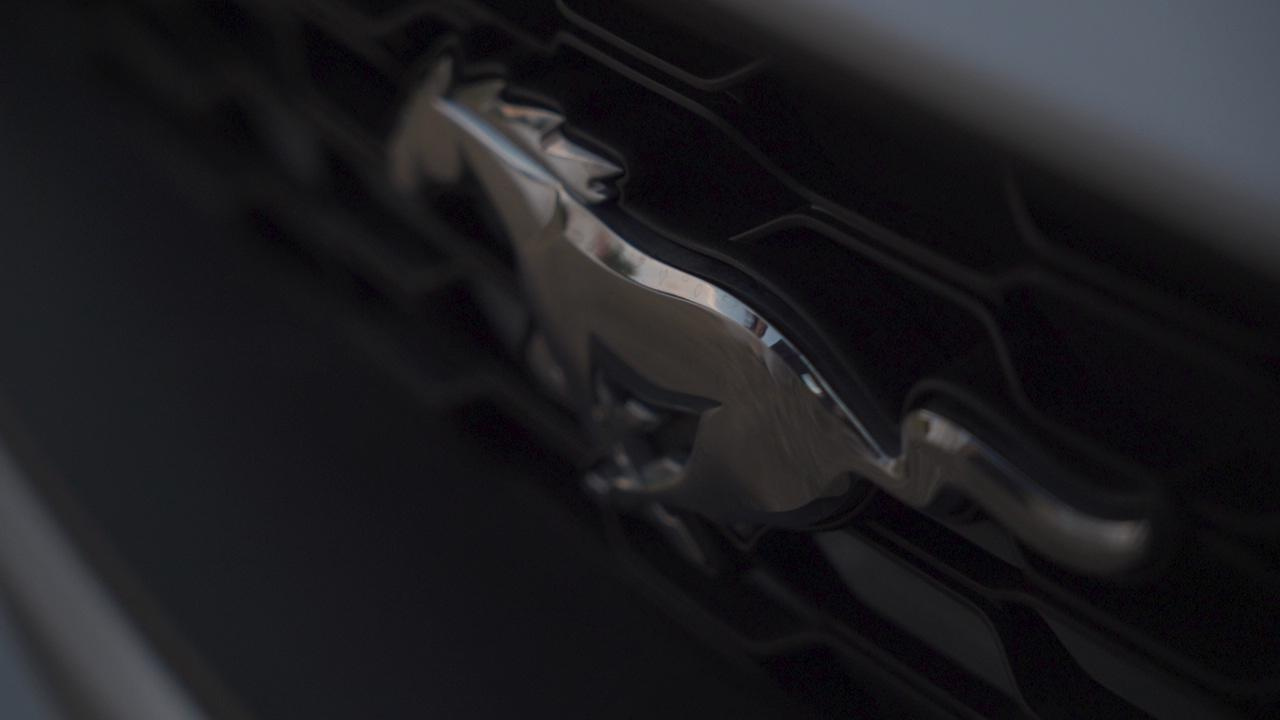 Свадьба Никиты и Леры. Видеограф на свадьбу в Санкт-Петербурге