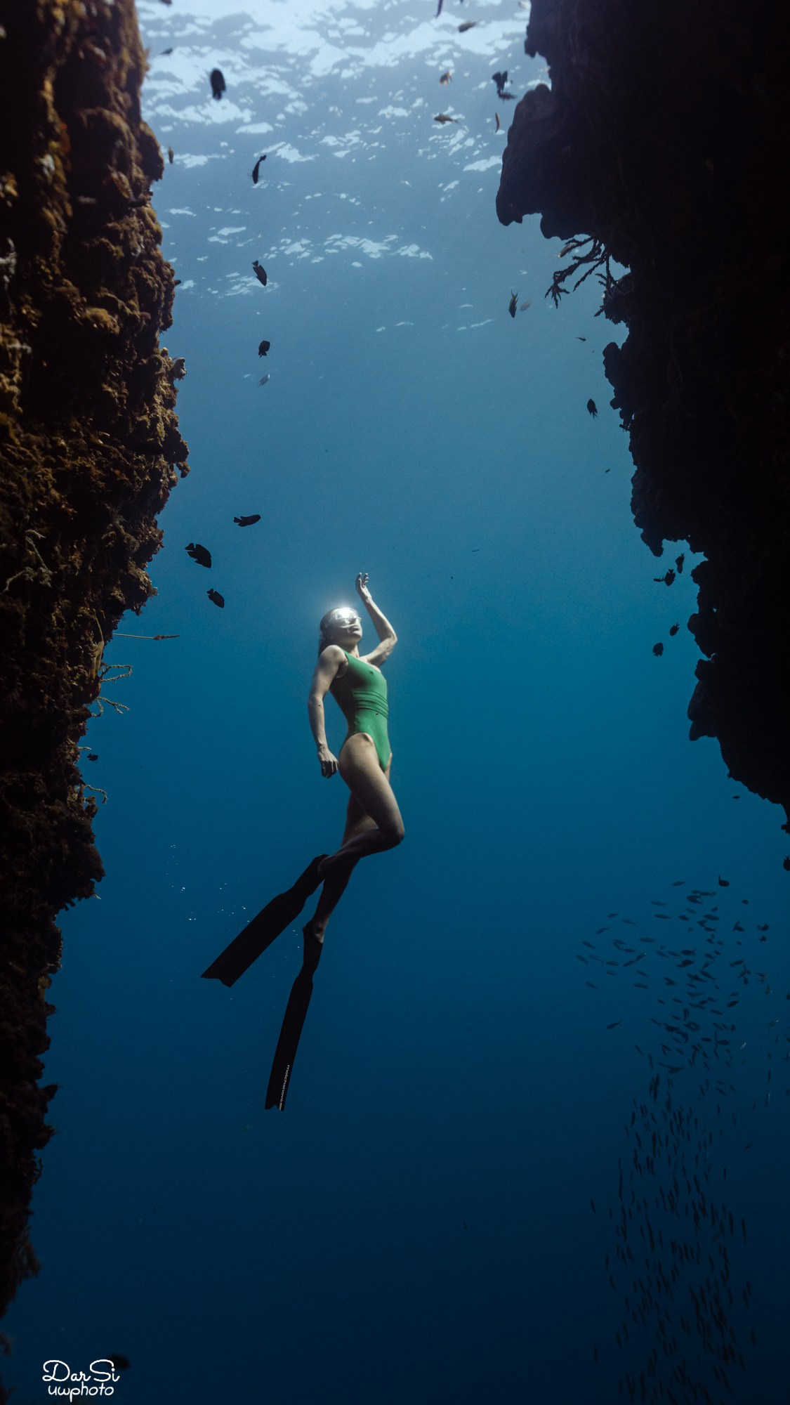 Фотосессия с сардинами (+каньон). Underwater Photographer in the Philippines — Daria Sinitsina