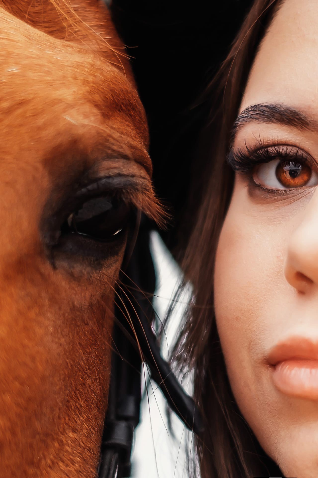 Фотосессии с лошадьми. Фотограф в Твери и Бежецке Ирина Семенова