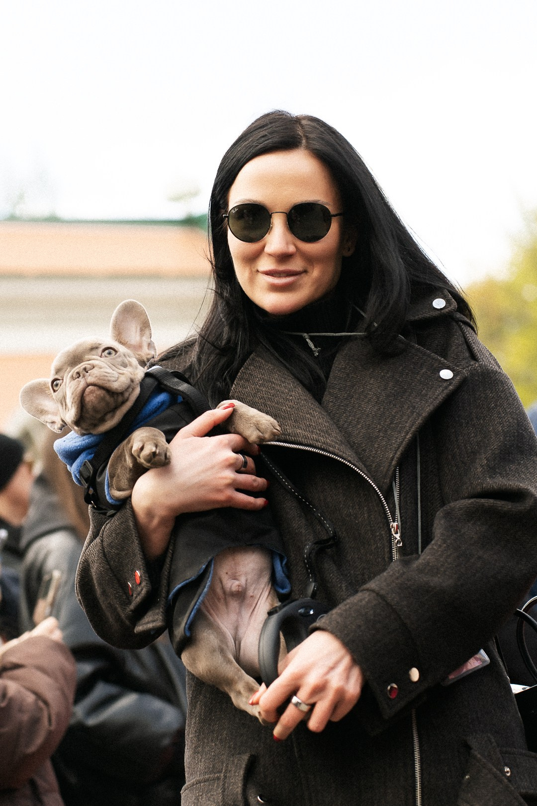 Парад Бульдогов. Axenov_eugene