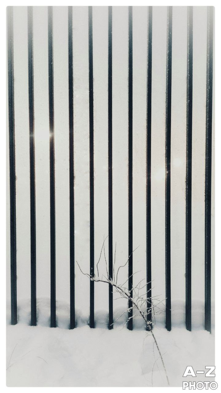 #ФОТОНЕДЕЛИ 02.02.2026. Женский семейный фотограф Тула Москва Захарова Анна