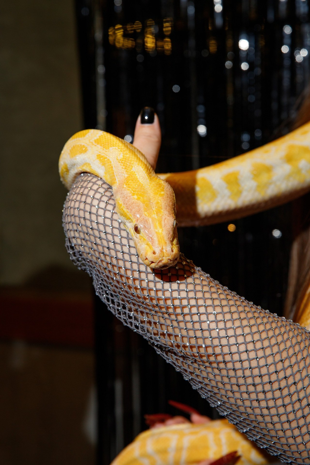 Отзывы. Фотограф Александра Сыщенко