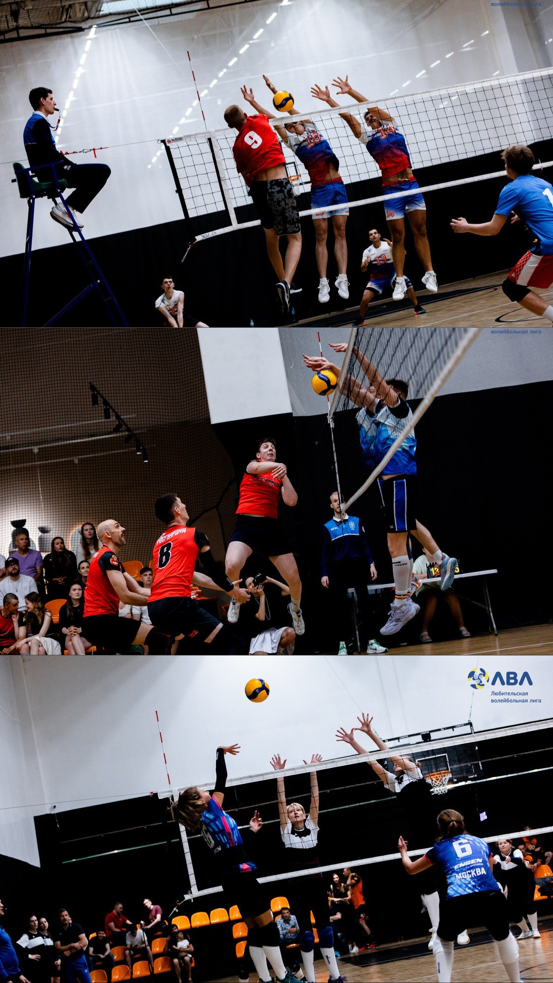 Полуфинальные матчи Любительской волейбольной лиги. Павел Шарапов | Фотограф | Москва