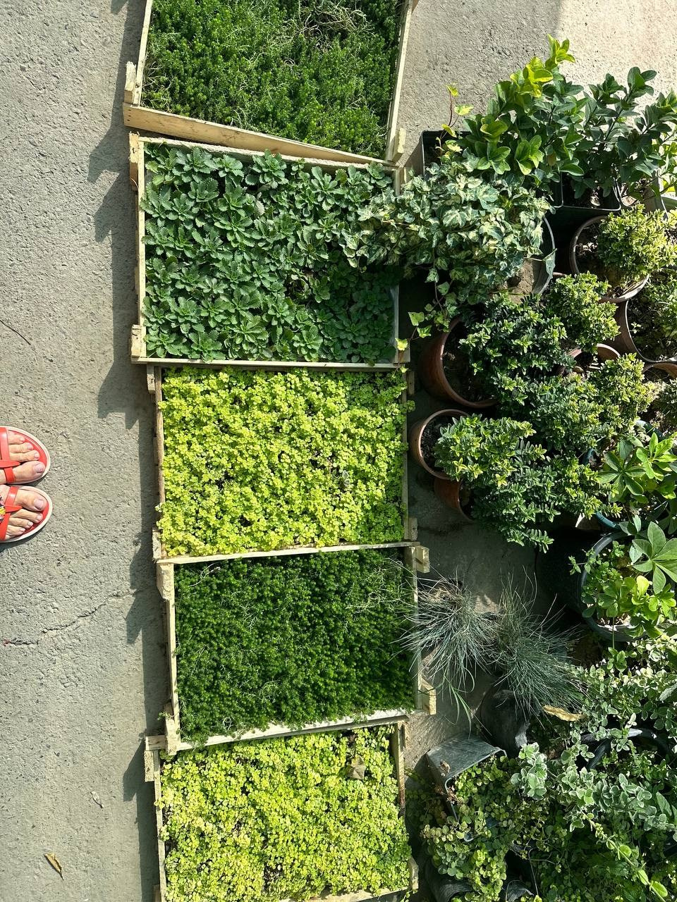 Узбекистан. Портретный женский фотограф в Москве Наталия Глазова