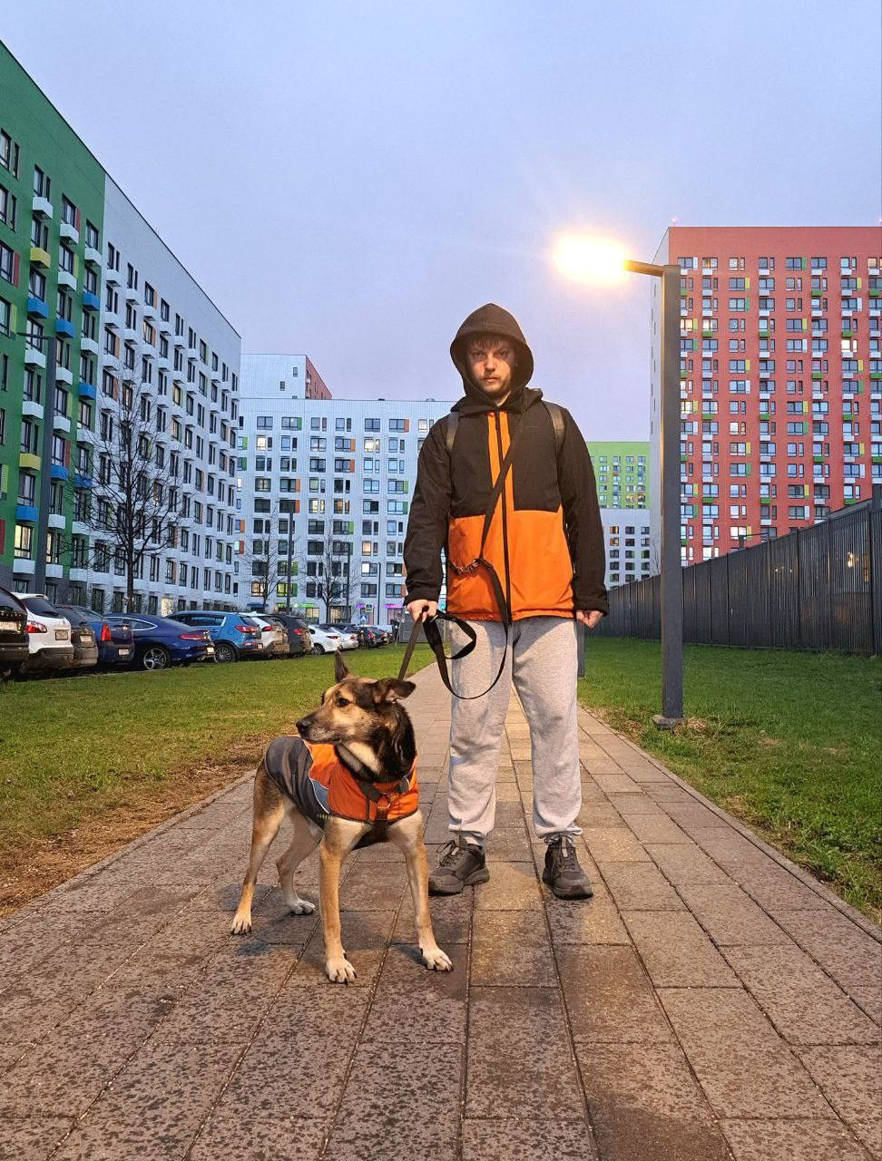 Уже дома. Забери домой друга