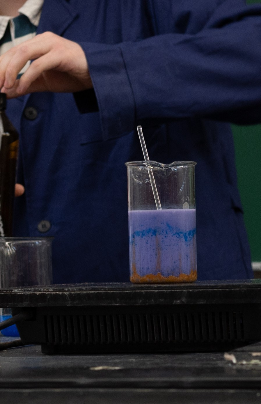 День открытых дверей. Фотограф в Санкт-Петербурге Anna Balashkova