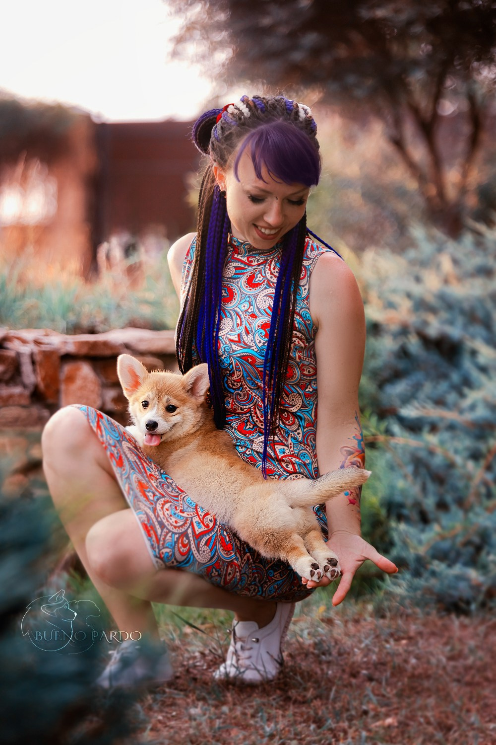 Щенки вельш корги пемброк из питомника. Питомник собак Акита, Хаски, Корги