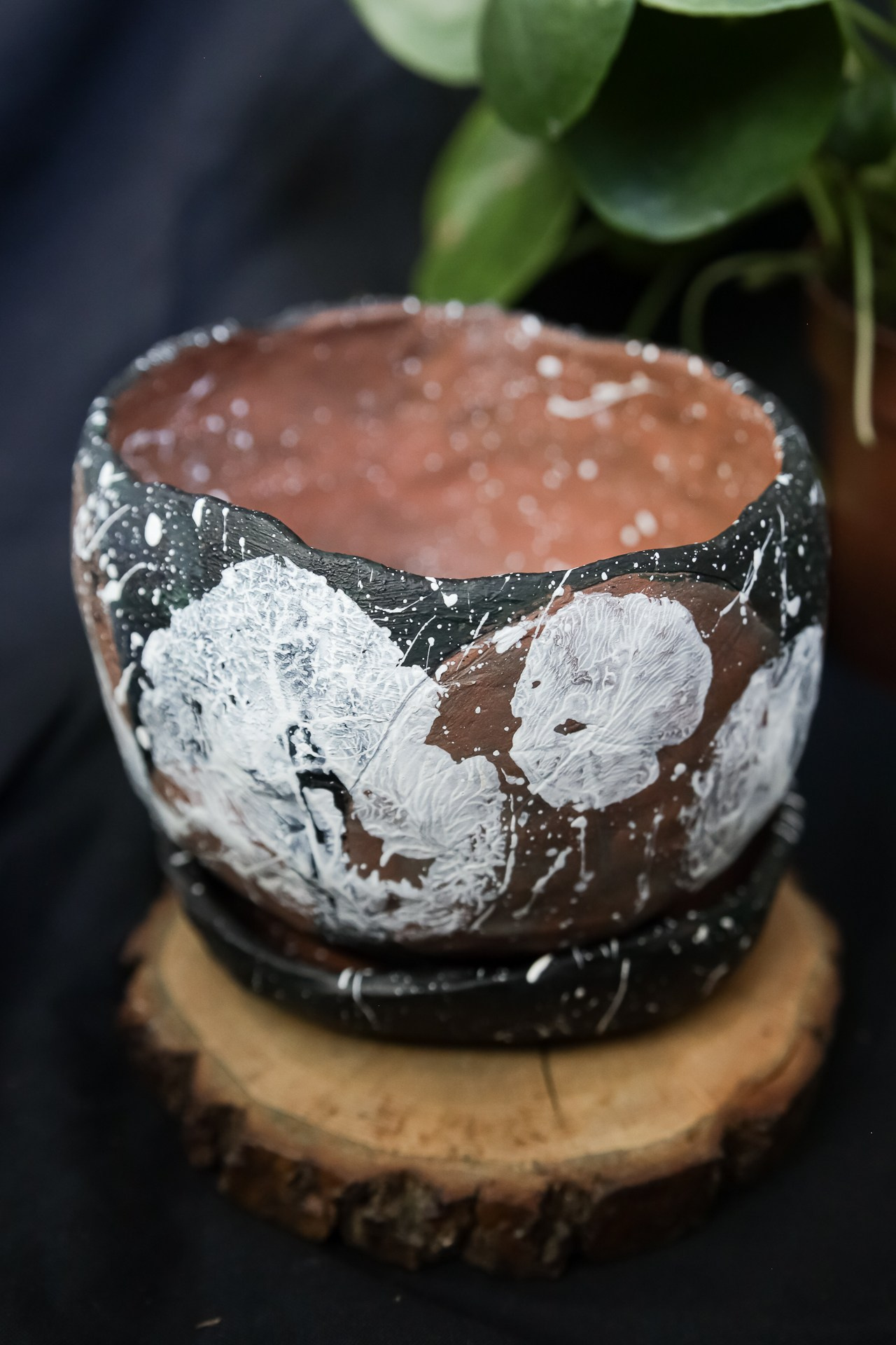 Горшок «Пилея» 1000 р. Катя Цвет