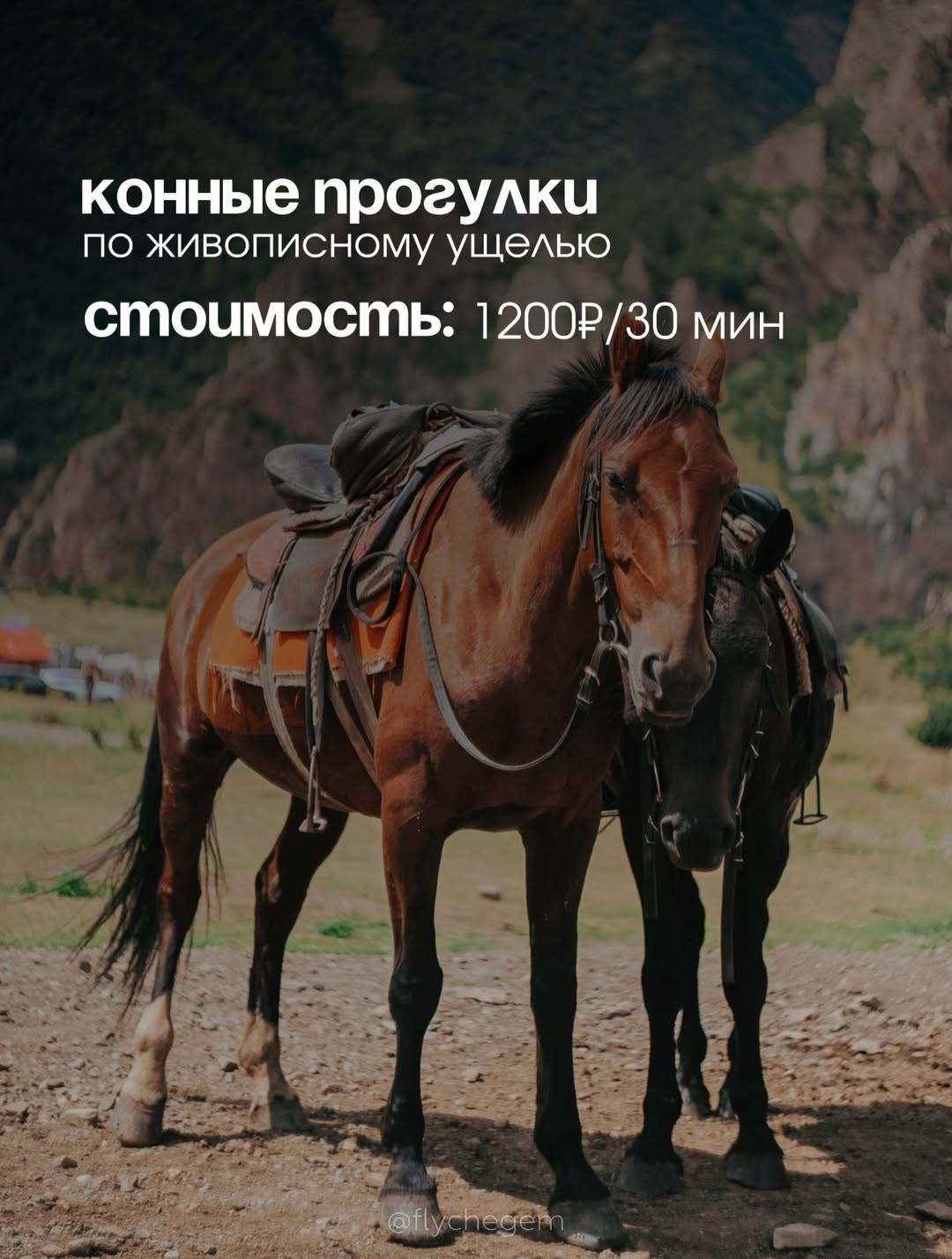 Кемпинг «Увидимся следующим летом». GIGI TOUR