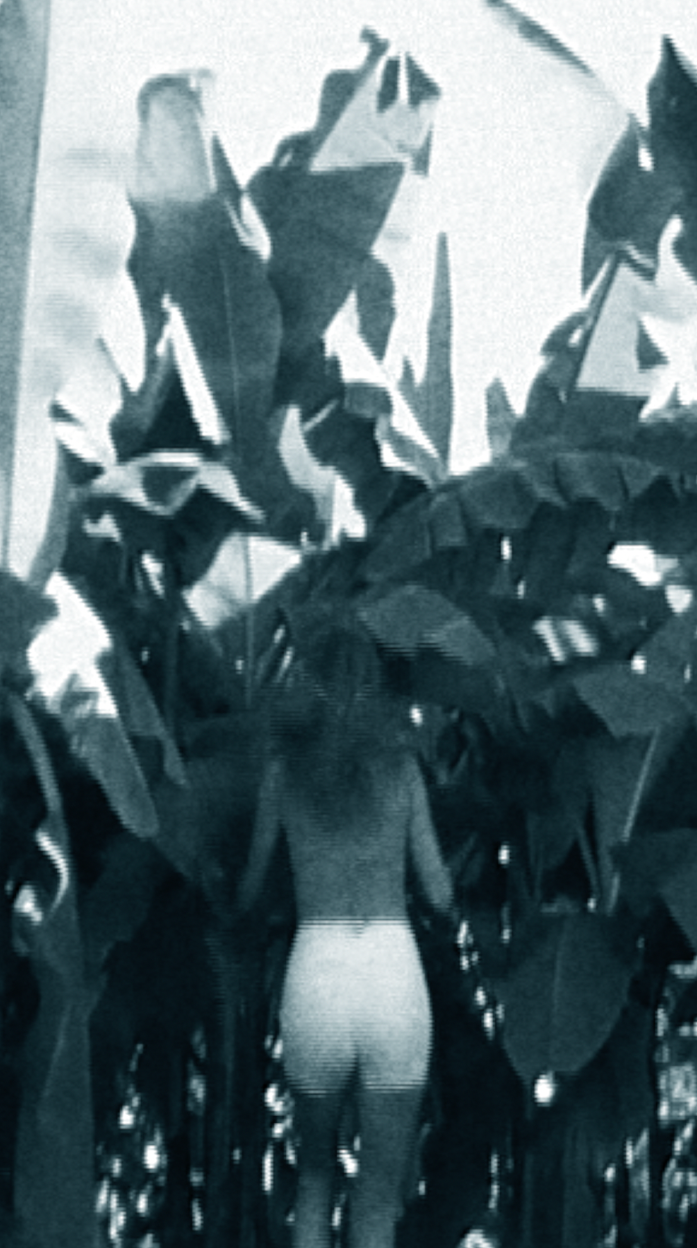 Lost-self in paradise. Carolinetru