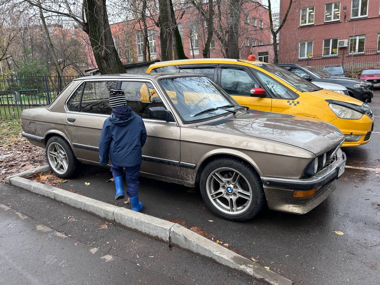 Cars. Maria Abdullaeva