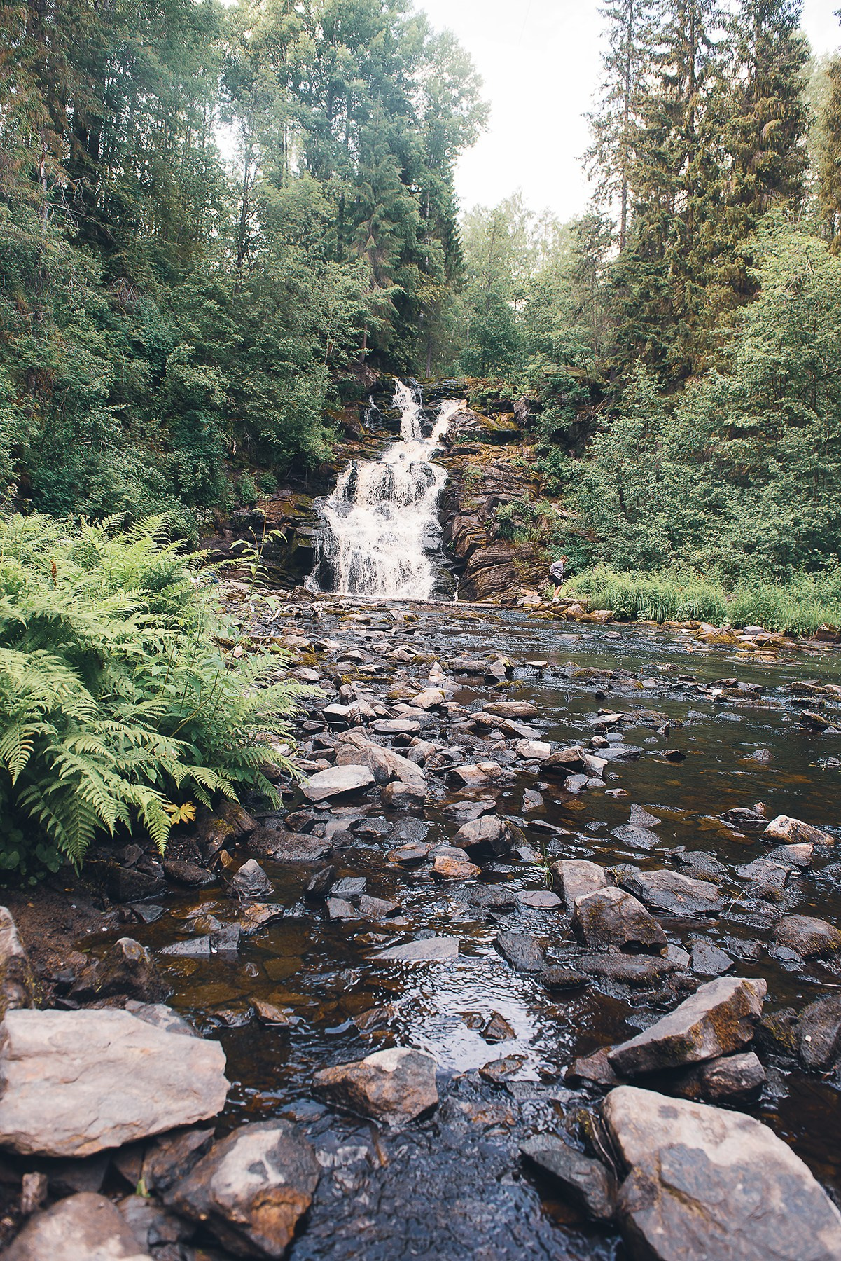 Карелия. Фотограф-анималист Наталья Светличная