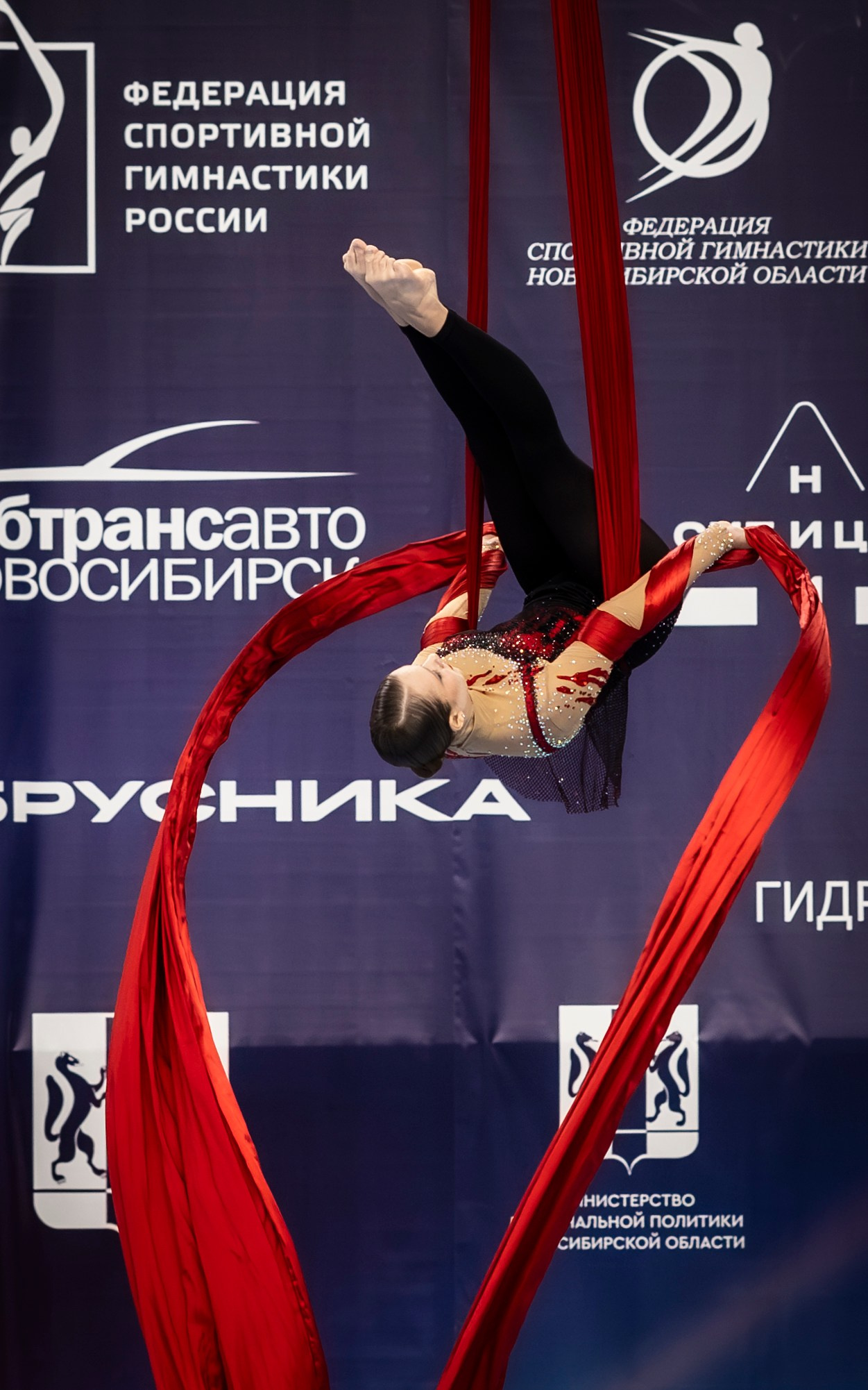 Aerial Summit. Bertran Ordo