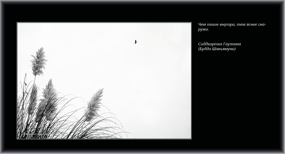 Совет дня — ориентир. Татьяна Корчагина. Фотограф, художник. Обучение фотографии