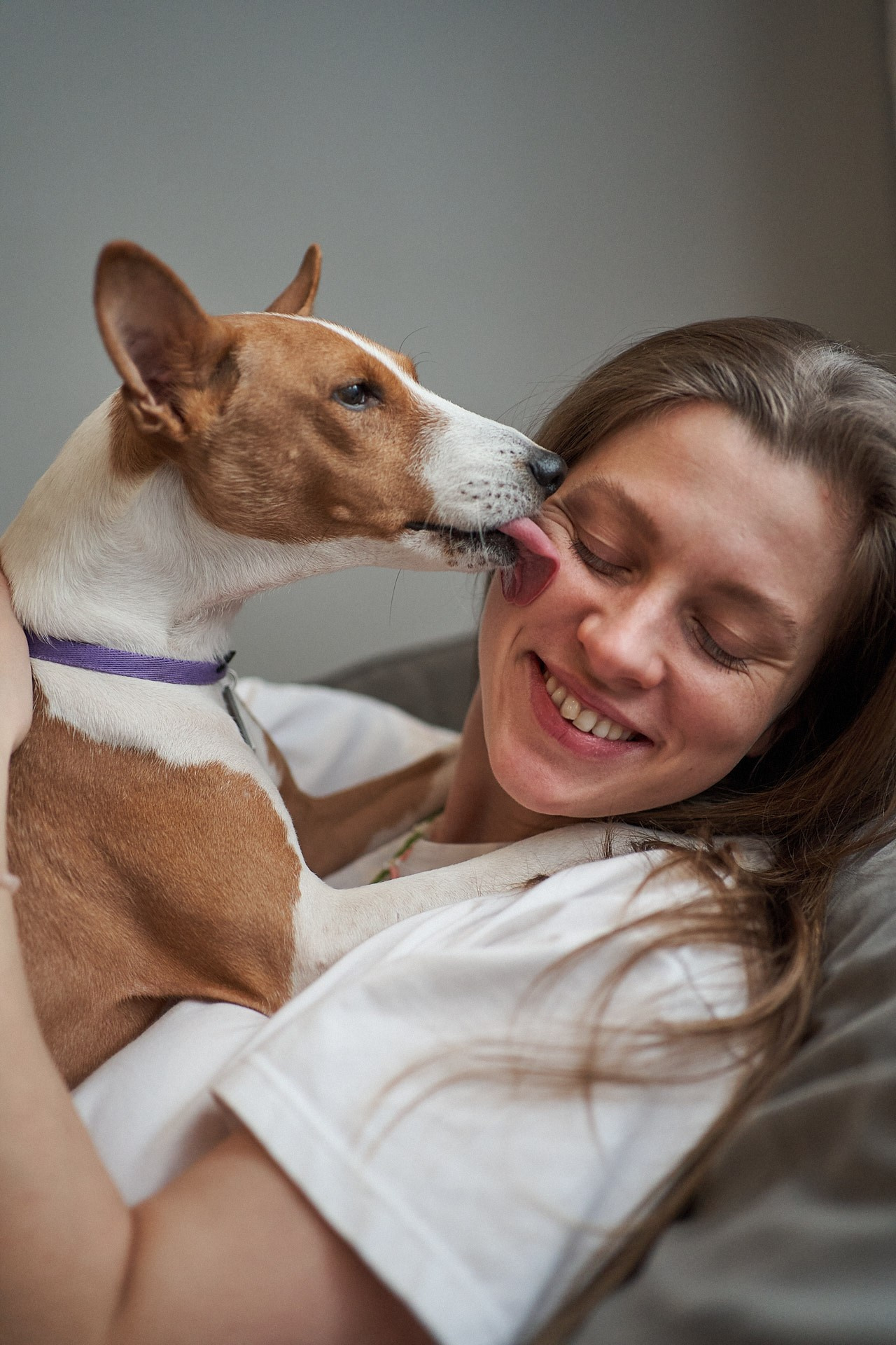 Аня, Майя и Пепси. Фотограф анималист Москва Дарья