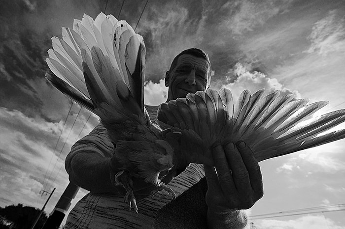 2013— Гран-при. Фотообъединение Самарского областного отделения Союза журналистов России