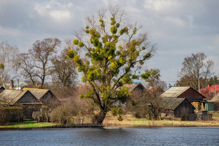 Пейзажи России. Пейзажный & Timelapse фотограф Роман Любимский