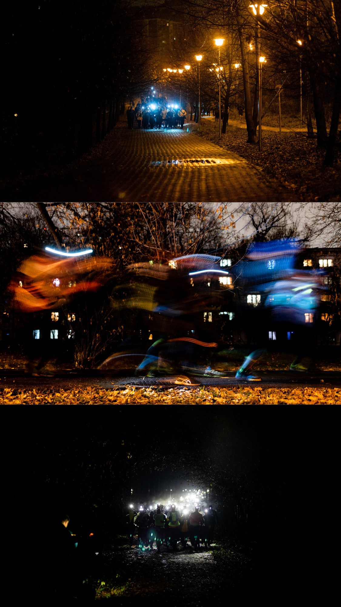 Эстафета по зеленому кольцу Москвы 2023. Павел Шарапов | Фотограф | Москва