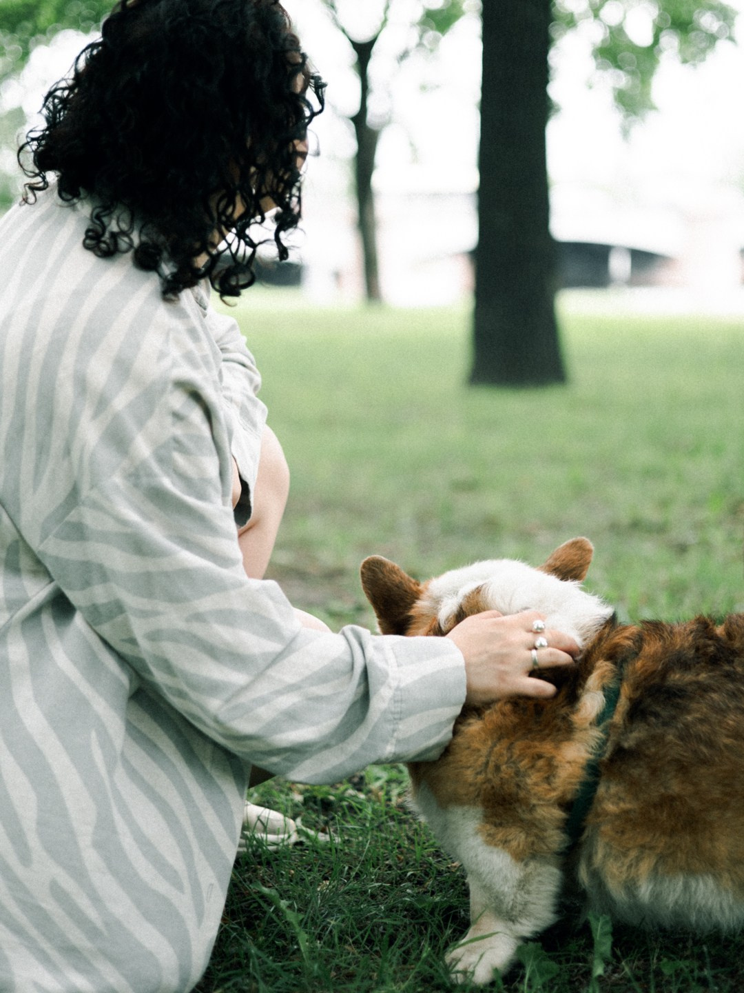 Dogs. Юлия Астра: Фотограф в Санкт-Петербурге. Снимаю женские портреты, уличные съёмки в Петербурге и людей с их собаками