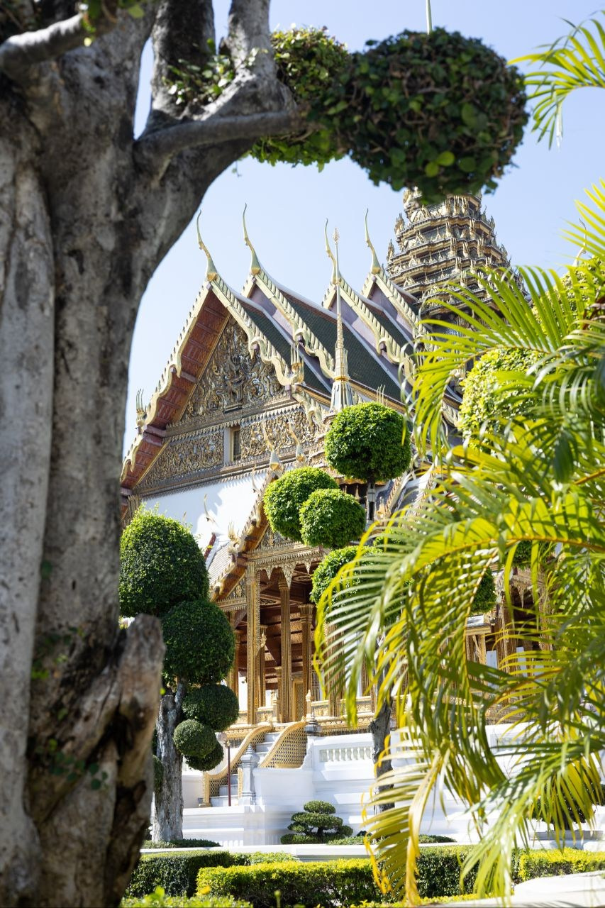 Бангкок, Тайланд. Фотограф Диана Белогребень
