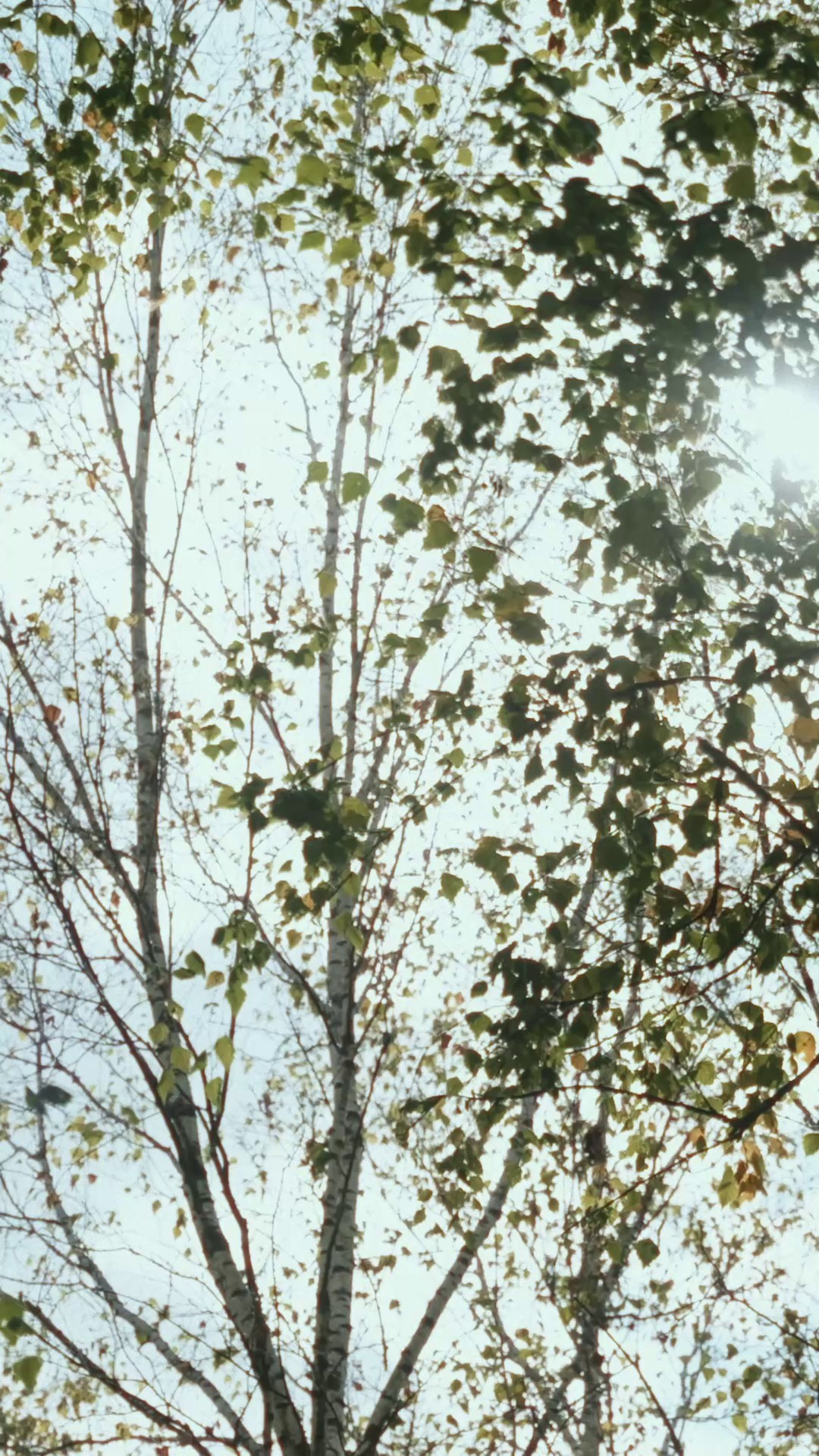 Антон и Таня. Свадебный видеограф — Родион Полудин