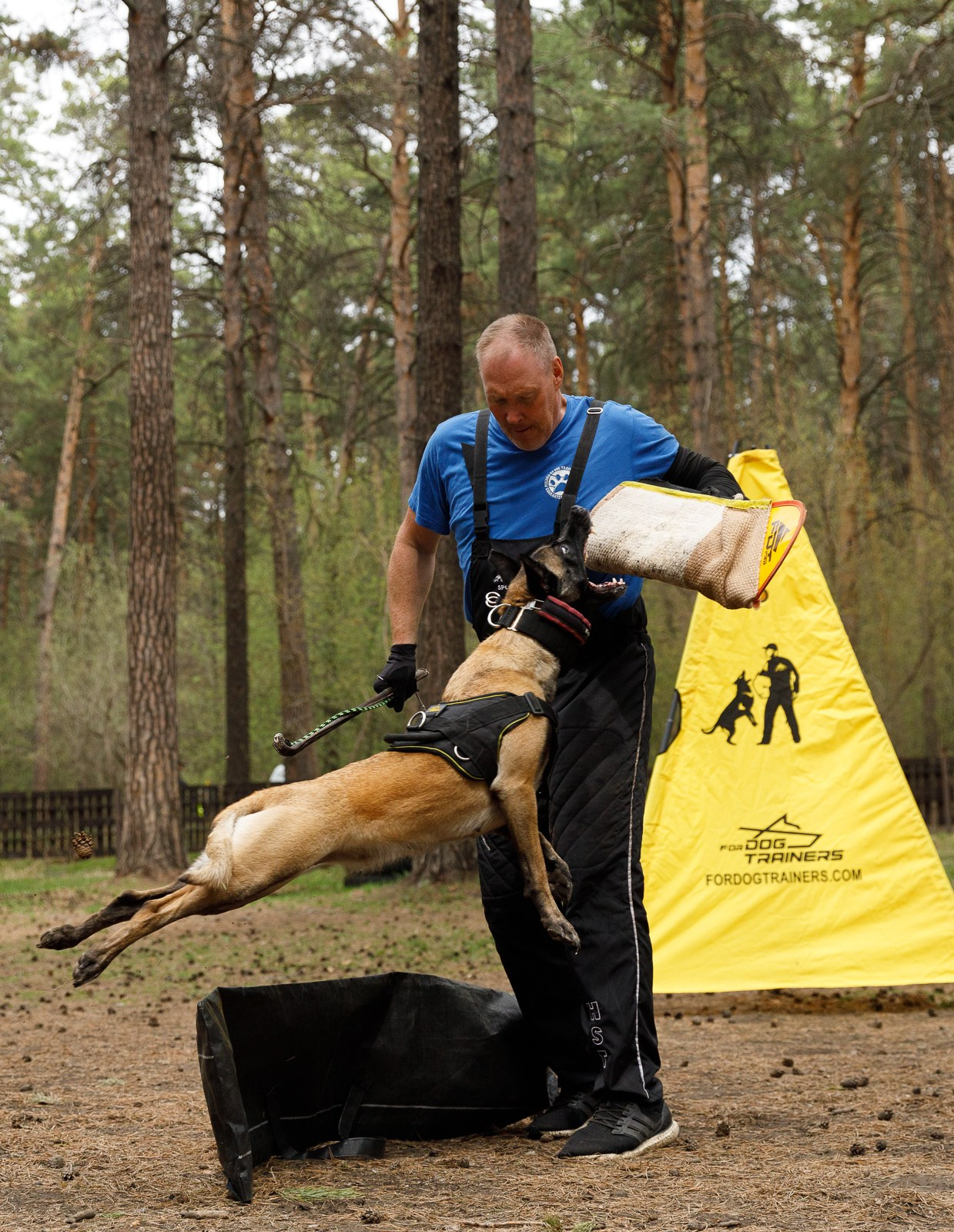 Рабочие собаки. Фотограф в Новосибирске