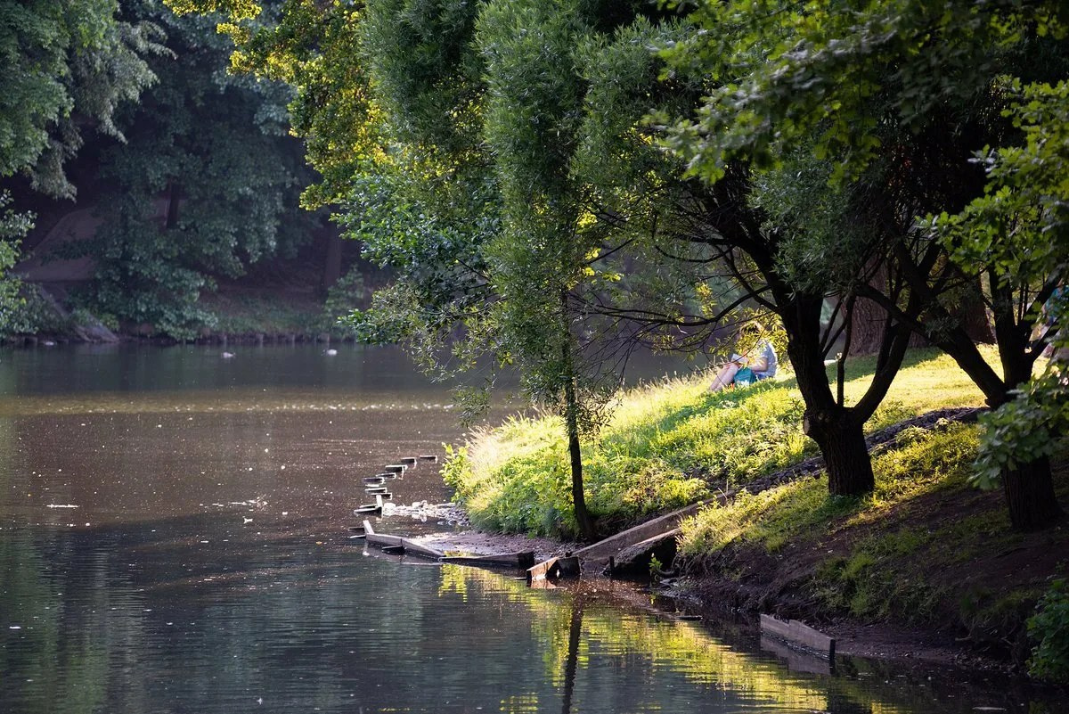 Мудборд «Рыбалка»