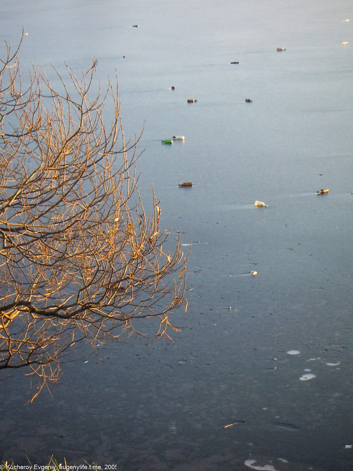 Ноябрь 2005. Царицыно. Кучеров Евгений. Фотограф