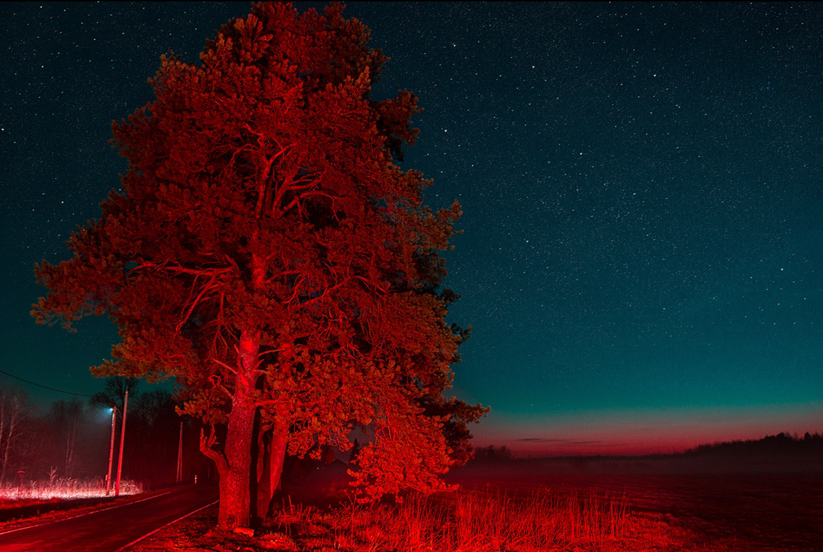 The red acrid space blues. Фотограф Cyberkyrie