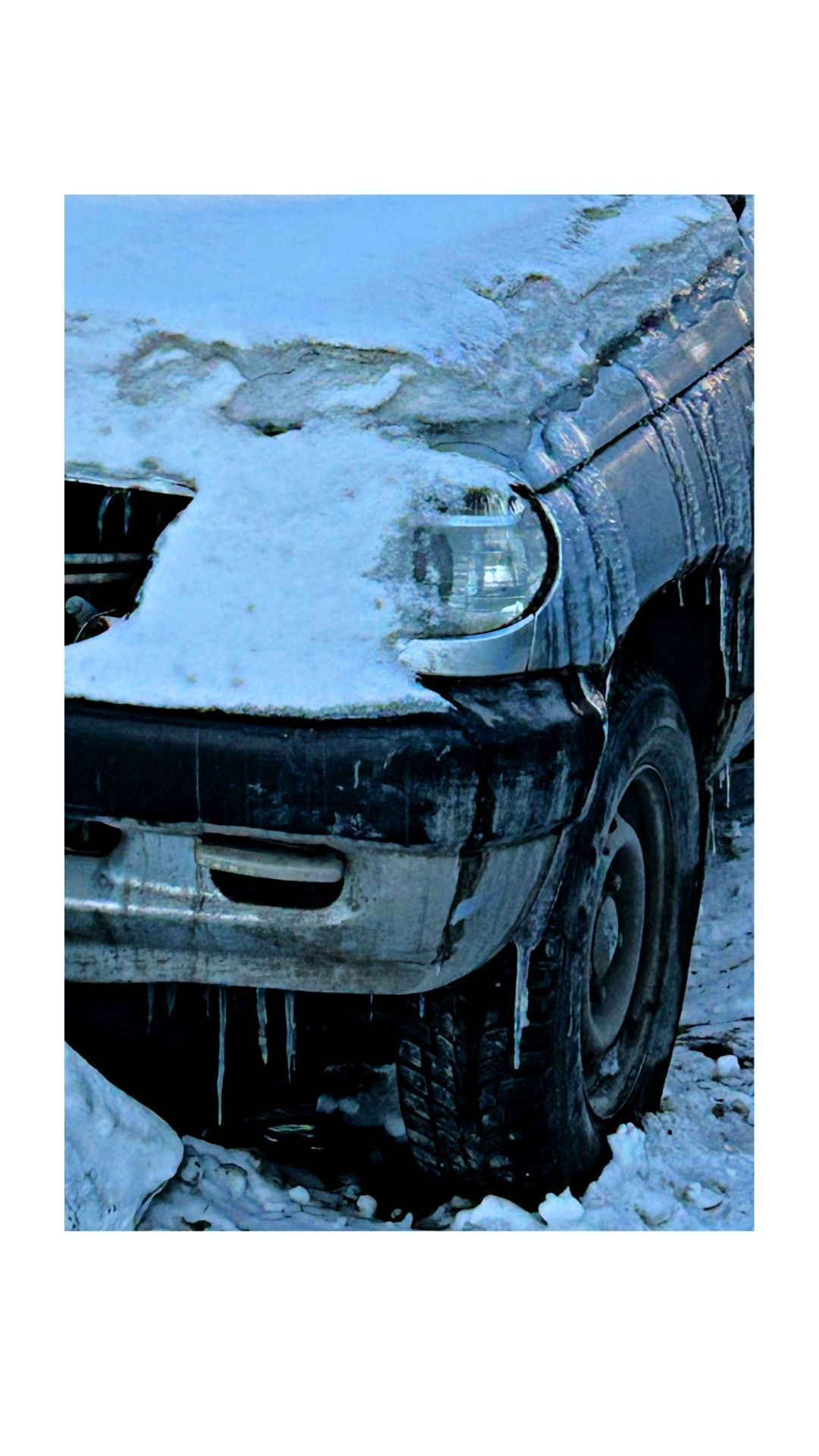 Зима по-сибирски. Главная