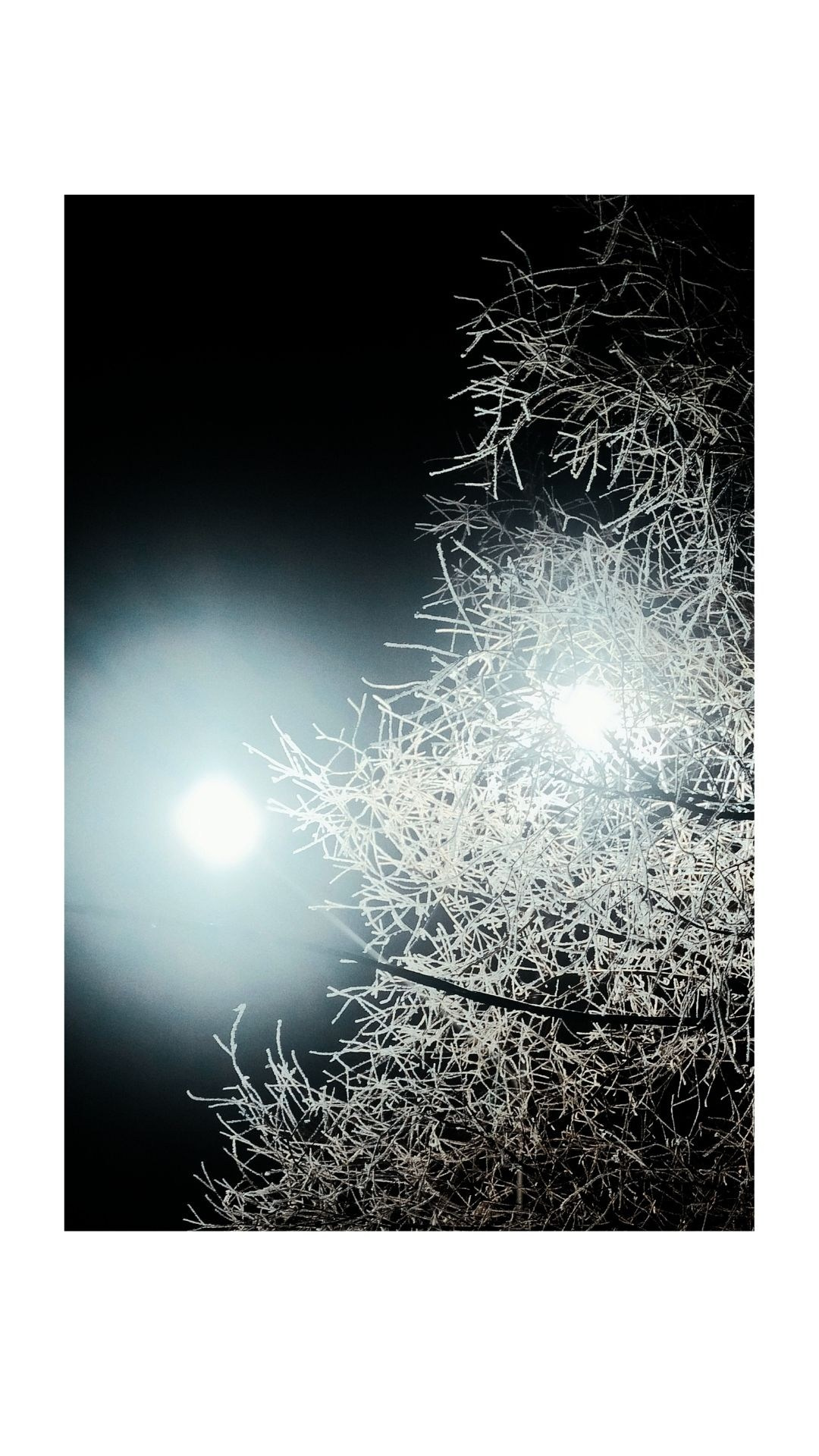 Зима по-сибирски. Главная