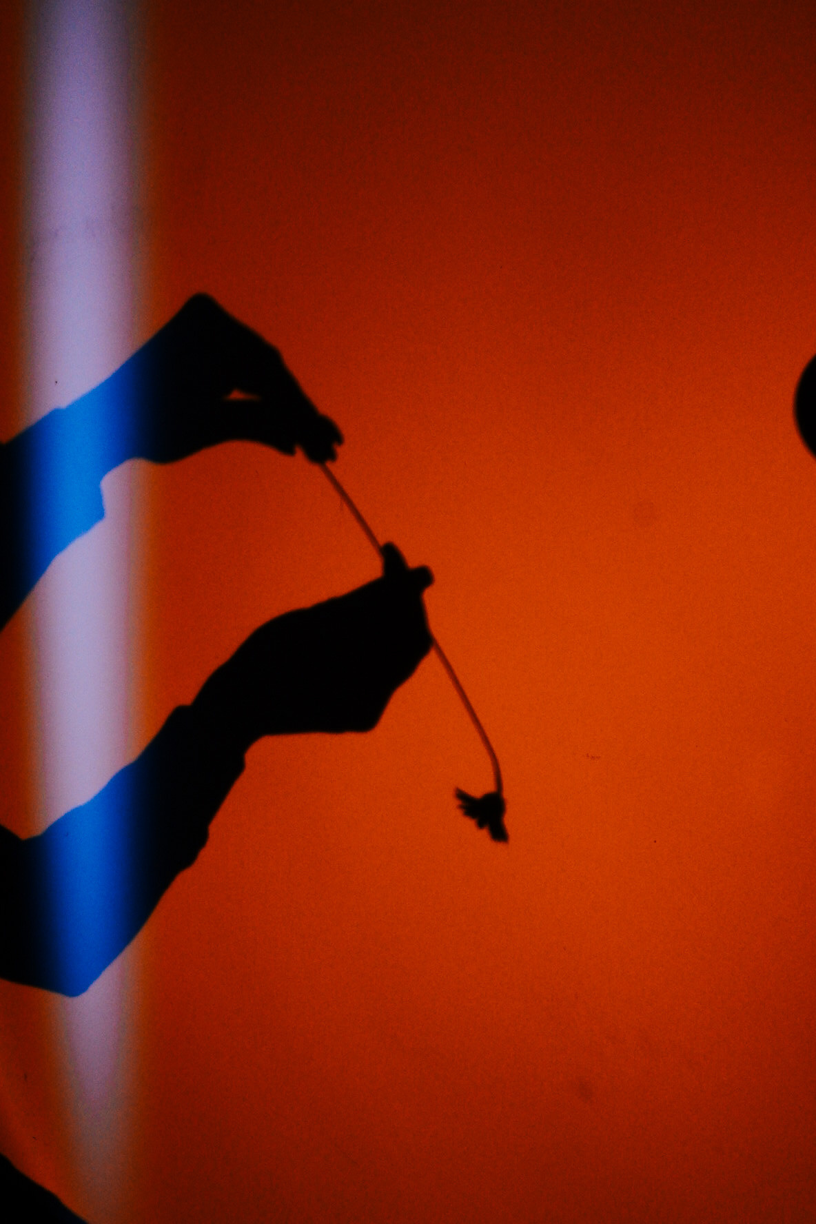 В вечере что-то есть. Фотограф Валуйки, Белгородская область. Коробова Юля