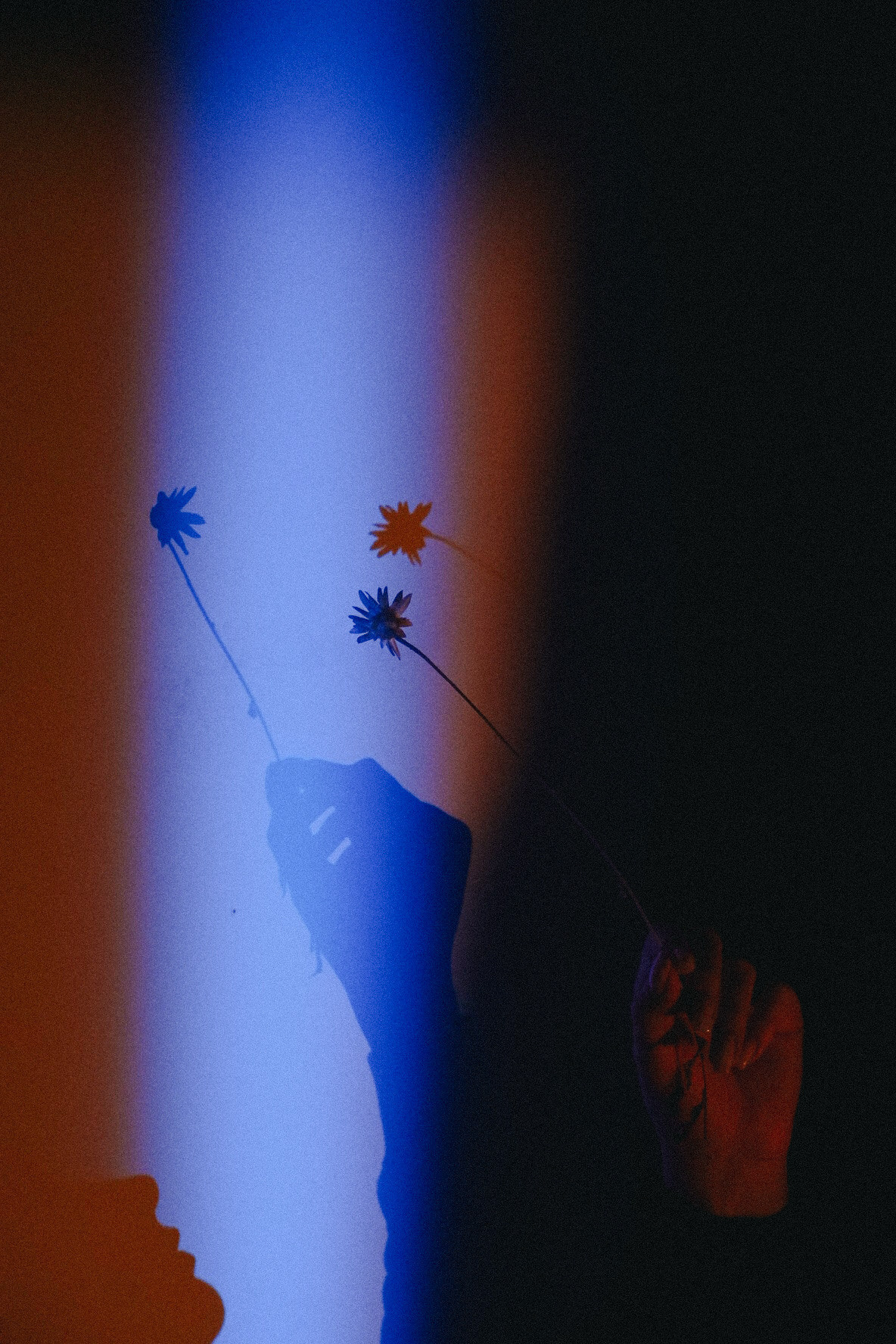 В вечере что-то есть. Фотограф Валуйки, Белгородская область. Коробова Юля